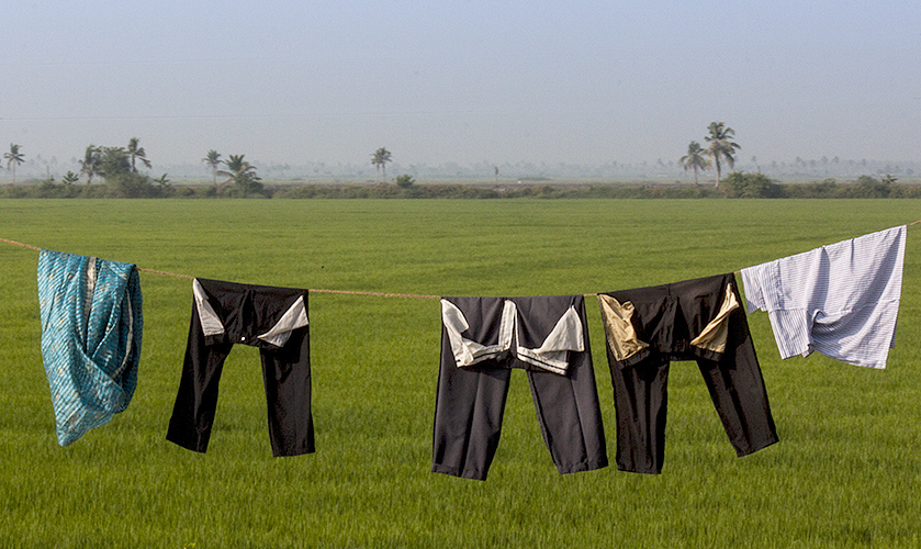 Laundry and Rice